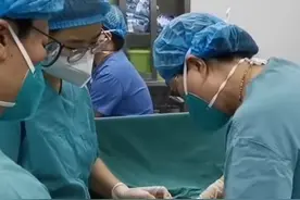 宝宝在肚子里的奇妙姿势，通过臀位外倒转，让胎位不正的孕妈妈也可以实现“顺产自由"#孕妈妈 #胎位 #医学科普