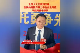 全国人大代表刘庆峰：加快构建国产算力平台自主可控，不能再被卡脖子#国产算力 #卡脖子 #人工智能视频封面
