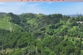 7月24日，#重庆继续发布森林草原火险橙色预警 ，预计今天到27号，大渡口、高新区、潼南、万州、巫溪、黔江、秀山等39地仍将持续高森林草原火险气象等级，发生森林草原火灾的风险高。#烟火山城视频封面