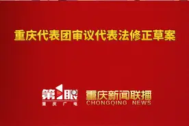 重庆新闻联播 | 两会专递 · 重庆代表团审议代表法修正草案 #第1眼看2025全国两会视频封面