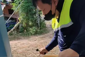 消灭白蚁，不然会对房屋造成破坏！ #消灭白蚁 #科普 #涨知识