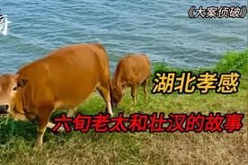 湖北六旬老太和壮汉的故事视频封面