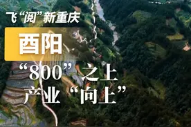 大型城市航拍纪录片2024《鸟瞰新重庆》正在紧张拍摄中。今天视频封面