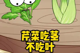 为啥芹菜吃茎不吃叶呢？ 你们家芹菜叶都是怎么处理啊#生活小常识视频封面