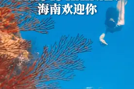Welcome to Hainan and experience the vibrant charm of this tropical paradise!欢迎来到海南，感受多彩绚丽的热带岛屿风情！#酷游海南穿着短袖过大年 #我的海南岛美好生活出片啦 #我要去海南 #来海南很安心 #tiktok视频封面