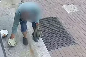 无语！#店主喂流浪猫连续两日被老人把猫粮倒走 网友：还行 至少把碗留下了#流浪猫 
视频封面