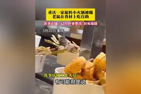 重庆一家旋转小火锅店被曝老鼠在食材上吃起自助，涉事店铺工作人员回应称，目前他们已应工商要求停业整改（畅）视频封面