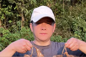 一半是有毒一半是美味的南方地瓜豆薯你吃过吗？ #植物科普 #凉薯 #地瓜 #豆薯 #三农