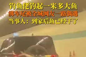 3月29日，南京。钓鱼佬钓起一米长大鱼绑车尾全城“偶遇”，大拇指竖到手软，回家发现鱼干了……视频封面