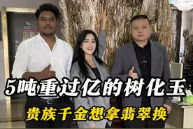 5吨重过亿的树化玉，贵族千金想拿翡翠换 #翡翠 #翡翠原石 #缅甸翡翠 #帝王绿视频封面
