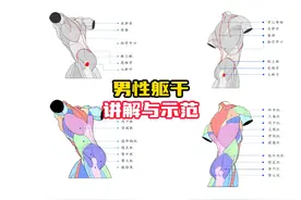 【大木画画】人体绘画教程之男性躯干画法讲解与示范 #人体结构视频封面