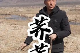 荠荠菜 今天这可是个窝子，一堆荠荠菜#来一口乡间春分的味道 #乡野春日地图 #抖音助农扶农 #农村美食 #内容启发搜索视频封面