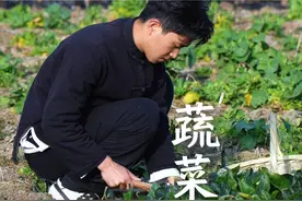 在菜园里摘了些新鲜的蔬菜，烫在火锅里，吃出了春天的味道#新农人计划2025 #农村美食 #乡村生活家 #火锅视频封面