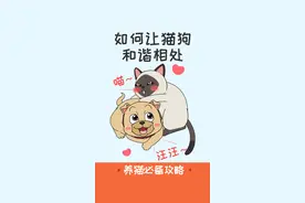 想要猫狗双全，又怕它俩互相掐架？学会这几招，分分钟和谐相处~#猫狗和谐#猫狗双全的日常#科学养宠攻略