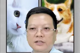 猫咪会感染艾滋吗？#猫咪 #萌宠出道计划 #养猫人 #艾滋视频封面