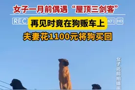 1月15日，山东济南，#女子一月前偶遇“屋顶三剑客” ，再见时竟在狗贩车上，夫妻花1100元将狗买回。视频封面