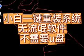 小白一键重装系统,不限速,没有流氓软件 #系统 #调机器 #系统重装视频封面