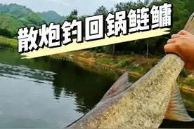 散炮钓回锅鱼 小鱼多怎么办？#原来钓鱼才是抖音运动顶流 #浮钓鲢鳙 #鱼栖林极轻大物 #钓鱼的乐趣只有钓鱼人懂 #夏日钓鱼不停歇