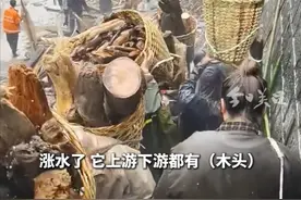 6月1日，当地居民告诉记者，这两天怒江涨水，不少群众到江边捡拾柴火。当地林草局工作人员表示，“已经有公安及其他相关部门的工作人员在江边拿着喇叭喊，不让人下去捡，因为很危险。” （潇湘晨报）