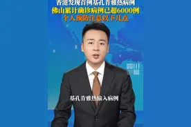 8月2日，香港发现首例基孔肯雅热输入病例，患者为一名12岁男童。截至7月31日，广东佛山累计报告基孔肯雅热病例已超6000例。