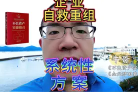 企业系统性自救方案！帮老板脱险，助企业解困，盘活不良资产！视频封面