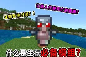 我的世界生存必备模组！能让他人替死的图腾？还能暂停时间！？