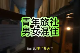 这家青旅厕厕所大蟑螂，跟知了那么大的蟑螂视频封面