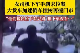 女司机手刹未拉紧，大货车加速倒车撞树再撞门市…幸好没有伤到人！司机：他们说轮胎下有只猫，想下车查看 #媒体精选计划视频封面