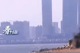 距离厦门这么近！栗正杰：给邱国正100个胆子，也不敢批准在金门实弹射击#看台海视频封面