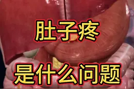 腹痛可能是什么原因引起的？ 内容非常精彩，点赞收藏，慢慢欣赏！#腹痛 #肚子疼 # #抖出健康知识宝藏 #开工去班味健康指南 #内容启发搜索视频封面