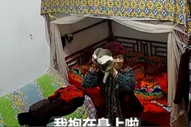可爱又治愈的一幕！91岁奶奶家中突然迎来一只小猫，与孙女分享这份快乐。视频封面