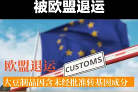 大豆制品因含转基因成份被欧盟退运 #热点 #转基因视频封面