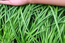 擦亮识骗慧眼 谨防上当受骗 赛期就是资金盘 #恒指期货 #恒指视频封面