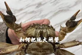 教你如何把玩大闸蟹#螃蟹 #公司日常 #大闸蟹视频封面
