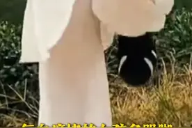#中医说你可能不是真胖 ！3月21日，山东济南，中医给记者把脉发现，体内上寒下热，气血瘀积在腿上。建议多跺脚，帮助瘦腿。视频封面