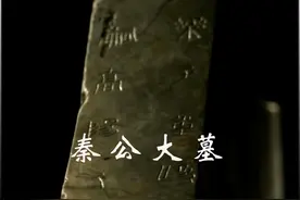秦公一号大墓 #热点 #秦景公 #考古发现 #历史视频封面