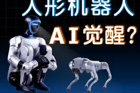 人形机器人，进化到什么程度了？对话宇树科技CEO王兴兴视频封面