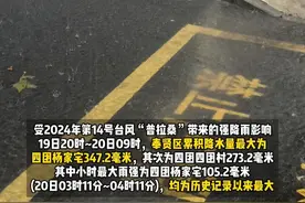 累计雨量打破纪录！#上海奉贤 正全力#抢险排涝视频封面