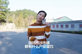 浏阳市沙市镇都有什么产业潜能？#创业创业 #招商引资视频封面