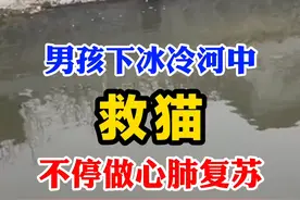 男孩下冰冷河中救猫 不停做心肺复苏#男孩下河救猫 视频封面