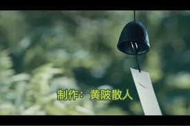 武汉临空经济示范区（黄陂）将建设这些项目#武汉 #武汉黄陂视频封面