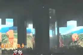 虞美人 故乡  刀郎 2025 3 29武汉演唱会完整版#音乐现场视频封面