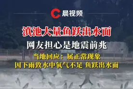 当地回应滇池大量鱼跃出水面：属正常现象，因下雨致水中氧气不足，鱼跃出水面抢水#滇池 #昆明