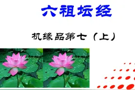 六祖坛经.机缘品第七（上）