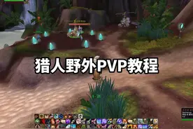 #魔兽世界 #巫妖王之怒 猎人野外PVP教程视频封面