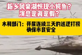 新乡凤泉湖惊现小鳄鱼 ？消息是真是假？水利部门：开展三天的巡逻打捞，确保市民安全。#河南dou知道视频封面