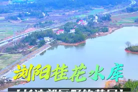 长沙野钓黄尾：浏阳桂花水库，大黄尾很多小鱼也多，考验钓技 #2025dou来钓鱼 #中逵小师达极轻小综合 #中逵钓鱼王30周年正青春 #钓鱼王地狱猫 @中逵创始人视频封面