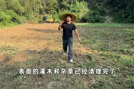 朋友们，我租的两亩荒田种点什么好了 @陈饭很忙出门十载，归来种田。 #乡村生活家  #新农人计划2024 #我的乡村生活 #治愈系美食 #开荒种地视频封面
