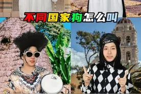 原来不同地方狗也有方言 #冷知识 #涨知识 #狗叫声 #奇葩