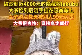 #大爷捡到隐藏版labubu随手挂吸粪车上 ，女子蹲点数天被别人99元买走！视频封面
